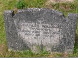 image of grave number 541201